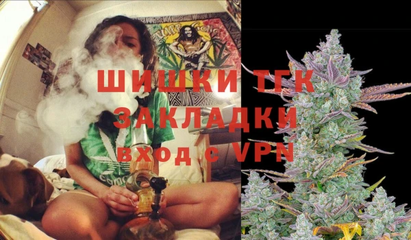 гашик Нягань