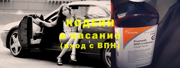 метадон Алексин