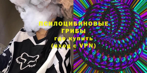spice Алзамай