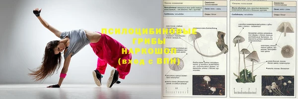 метадон Алексин
