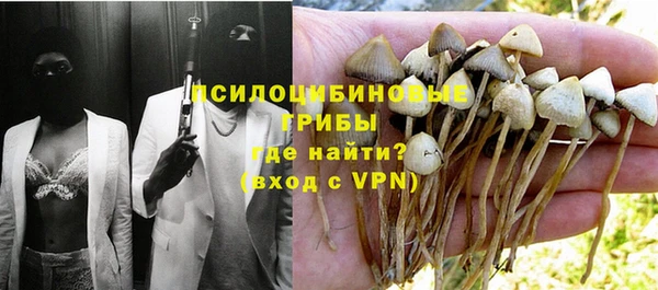 spice Алзамай