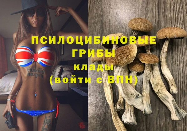 spice Алзамай